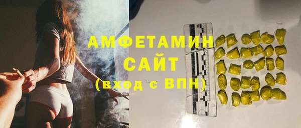 твердый Абаза