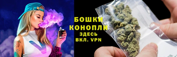 твердый Абаза