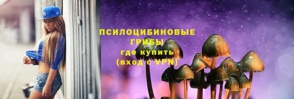твердый Абаза