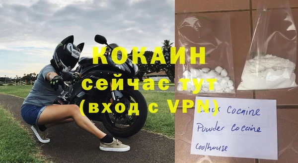твердый Абаза