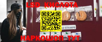 ГАЛЛЮЦИНОГЕННЫЕ ГРИБЫ Свободный