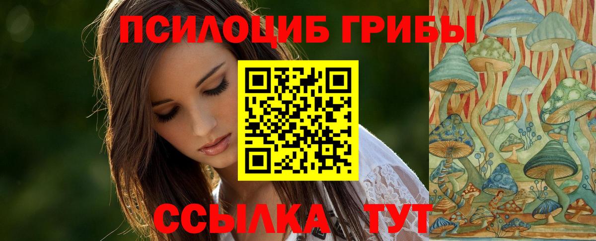 Галлюциногенные грибы MAGIC MUSHROOMS  Вход с VPN  Серпухов 